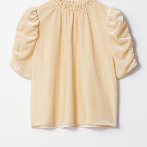 Puff Sleeve Velvet Top