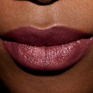 Retro Cordovan Sheer Lip Colour